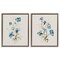 Stupell Industries Blue Botanical Herbs 2pc Floating Frame Set Design by Susan Jill